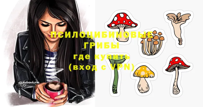 Псилоцибиновые грибы MAGIC MUSHROOMS  Нестеров 